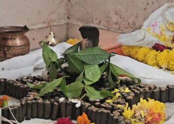 રામેશ્વર મહાદેવ કુંભારીયા ખાતે પાર્થેશ્વર પૂજા ,સોળસો પ્રચાર પૂજન