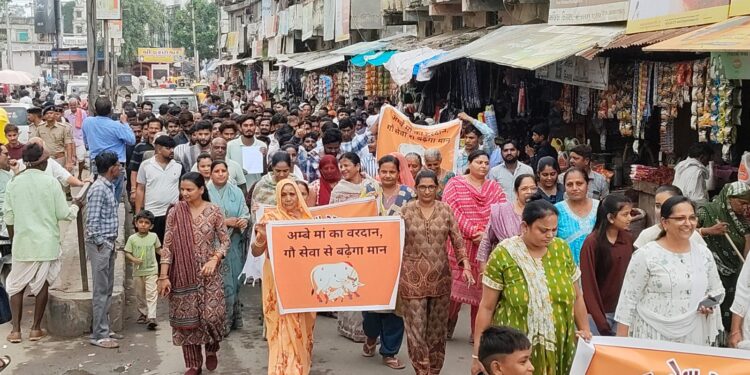 ગૌ પ્રેમીઓ અને ગ્રામજનોનો ગ્રામ પંચાયતના આદેશ પર ફૂટ્યો ગુસ્સો, ગ્રામ પંચાયત ગાયો માટે ઉચિત નિર્ણય ન…