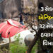 3 સેકન્ડમાં એન્જિન બંધ, 32 સેકન્ડ હવામાં… જાણો અમદાવાદ પ્લેન ક્રેશ વખતે ક્યારે શું થયું | Ahmedaba…