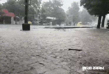 ગુજરાતમાં આજે 74 તાલુકામાં મેઘમહેર, સૌથી વધુ ઉમરપાડા-ખેડબ્રહ્મામાં 2-2 ઇંચ, જુઓ ક્યાં-કેટલો વરસ્યો વ…