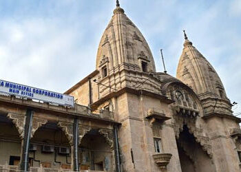 વડોદરામાં એનઆરઆઈ બાળકનું પ્રથમ આધારકાર્ડ કાઢવામાં આવ્યું | First Aadhaar card issued to NRI child in…