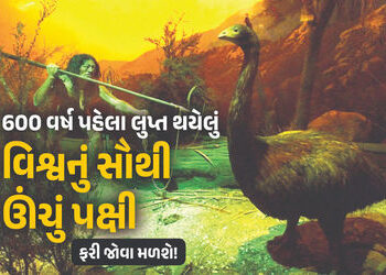 ‘ડાયર વરુ’ને જીવતા કર્યા બાદ હવે લુપ્ત થયેલા વિશ્વના સૌથી ઊંચા પક્ષી ‘મોઆ’ને જીવિત કરાશે, ફિલ્મમેકરે…