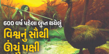 ‘ડાયર વરુ’ને જીવતા કર્યા બાદ હવે લુપ્ત થયેલા વિશ્વના સૌથી ઊંચા પક્ષી ‘મોઆ’ને જીવિત કરાશે, ફિલ્મમેકરે…