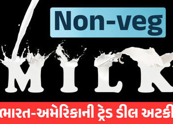 શું છે ‘નૉનવેજ દૂધ’? જેના કારણે અટકી ભારત-અમેરિકાની ટ્રેડ ડીલ, જાણો વિગતવાર | India US trade deal st…