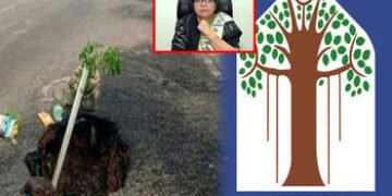 ગેરેન્ટીમાં હોય છતાં માર્ગ પર ખાડા પડી જવા મામલે ઇજારદાર, અધિકારી બંને પાસેથી દંડ વસૂલો : અમીબેન રાવ…