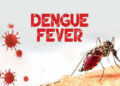 6 માસમાં ડેન્ગ્યુના 51, ચિકનગુનિયાના 9 અને મેલેરિયાના 5 કેસ નોંધાયા | 51 cases of dengue 9 of chikun…
