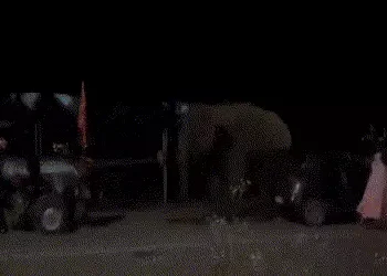 VIDEO: દહેરાદૂનમાં કાવડિયાઓ જમતા હતા અને હાથી ફરી વળ્યો, શિવભક્તોમાં નાસભાગ | Panic in Dehradun as E…