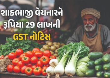 ડિજિટલ પેમેન્ટે શાકભાજી વેચનારની વધારી મુશ્કેલી ! 29 લાખની GST નોટિસ ફટકારાઈ, જાણો મામલો | Karnataka…