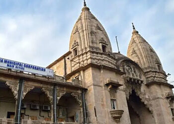 વિવિધ યુનિવર્સિટી, કેટરર્સને ત્યાં ખાદ્ય પદાર્થ અંગે ચેકિંગ: નવરચના યુનિ., કેળવણી ટ્રસ્ટ, એસ.એન.ડી.ટ…