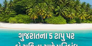 ગુજરાતના 5 ટાપુઓ પર સહેલાણીઓના પ્રવેશ પર પ્રતિબંધ! જાહેરનામાનો ભંગ કરનાર સામે કાર્યવાહી થશે | gujara…
