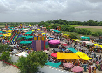 તલસાણીયા મહાદેવના મંદિરે અષાઢ વદ અમાસના લોકમેળામાં માનવ મહેરામણ | Human welcome at the Ashadh Vad Am…