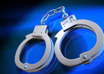 આર્મ્સ એક્ટના ગુનામાં સામેલ આરોપી ઝડપાયો | Accused involved in Arms Act crime arrested