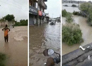 સિદ્ધપુરમાં સાંબેલાધાર 7 ઇંચ વરસાદ, કાકોશીમાં કોહરામ, જ્યાં જુઓ ત્યાં પાણી જ પાણી | patan siddhpur h…