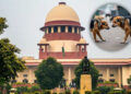 કૂતરાઓની સમસ્યા એટલી ગંભીર બની કે ખુદ સુપ્રીમ કોર્ટે કેસ હાથમાં લેવો પડ્યો | sc takes suo motu cogni…