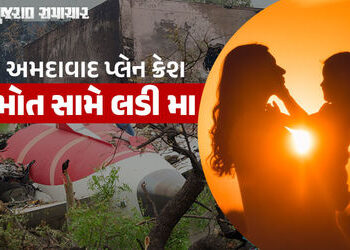 માતૃપ્રેમની ઢાલ, એર ઇન્ડિયા પ્લેન ક્રેશમાં 8 મહિનાનું શિશુ માતાની હિંમતથી બચી ગયું | Mother Shields …