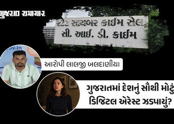 ગુજરાતમાં દેશનું સૌથી મોટું સાયબર ફ્રોડ! ગાંધીનગરની મહિલા ડૉક્ટરને ડિજિટલ અરેસ્ટ કરી 19 કરોડ પડાવ્યા…