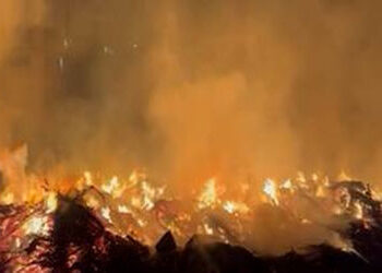 ભાવનગર જિલ્લામાં દર બે દિવસે આગનો એક બનાવ | One fire incident every two days in Bhavnagar district
