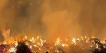 ભાવનગર જિલ્લામાં દર બે દિવસે આગનો એક બનાવ | One fire incident every two days in Bhavnagar district