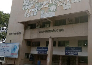 વડોદરા જિ.પંચાયતમાં રજૂઆતમાં મહિલા સભ્યોના પતિઓ હાજર રહેતાં ડીડીઓની ટકોરથી વોકઆઉટ | Women’s husbands…