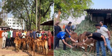 અડાજણના યુવાનોનું અનોખી ગૌસેવા : વર્ષ દરમિયાન યંગસ્ટર્સ ગ્રુપ ગૌશાળાઓમાં કરે છે સફાઈ અભિયાન | surat …