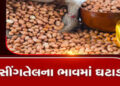 મગફળીના વિક્રમી વાવેતરના પગલે સૌરાષ્ટ્ર સિંગતેલના ભાવમાં કડાકો | Saurashtra Singoil prices plunge fo…