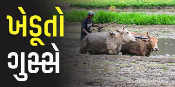 ખેડૂતો કહે છે, ખાતર મળતું નથી : કૃષિ વિભાગ કહે છે, ખાતરનો પૂરતો સ્ટોક છે : સાચું કોણ? | farmers prot…