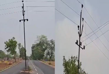 તંત્રનું બુદ્ધિનું પ્રદર્શન! લીમખેડામાં રોડ બનાવ્યો પણ વીજપોલ હટાવવાનું ભૂલી ગયા, અકસ્માતની સંભાવના …