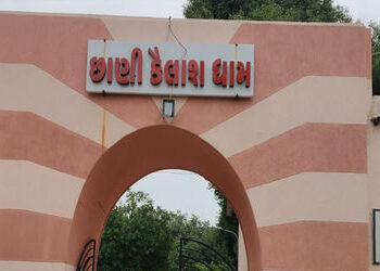 વડોદરા શહેરના છાણી ગામના સ્મશાનનો પ્રશ્ન ઉઝવવામાં માગ : ગામને સ્મશાન સોપી દો | Demand to Solve the i…