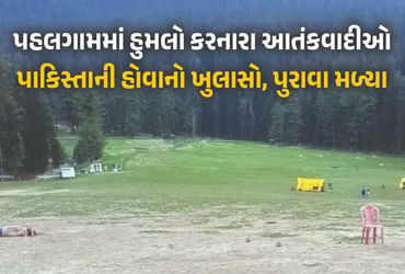 પહલગામ હુમલાનું નવું સત્ય, ભારતને હુમલાખોરો વિરુદ્ધ પહેલીવાર મળ્યા નક્કર પુરાવા | Pahalgam Attack : …