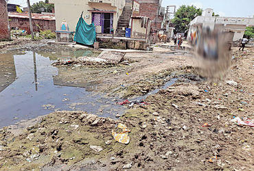 ધોળકા શહેરને સ્વચ્છ રાખતા સફાઇ કર્મીઓના વિસ્તારમાં જ ગંદકીનું સામ્રાજ્ય ધા | area sanitation workers…