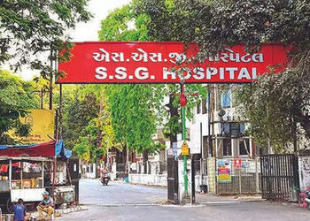 વડોદરામાં 8 મહિનાનું બાળક ચાંદીપુરા વાઈરસથી સંક્રમિત, અત્યાર સુધી 17 બાળકોના મોતથી હાહાકાર | vadodar…