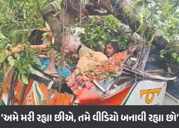 VIDEO : ‘અમે મરી રહ્યા છીએ અને તમે વીડિયો બનાવી રહ્યા છો’, બારાબંકીમાં ચાલતી બસ પર વૃક્ષ પડતા 5ના મોત