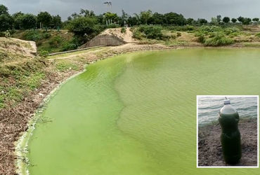 અમરેલીના મોટા લીલિયાના નિલકંઠ સરોવરનું પાણી અચાનક લીલું થઈ ગયું, કેમિકલ ઠાલવ્યાની આશંકા | Amreli Nil…
