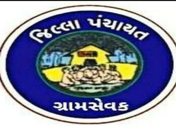 જિલ્લામાં 350 ગ્રામસેવકોની જરૂરિયાત સામે 107 નું મહેકમ, 19 જગ્યા ખાલી | 107 are established against …