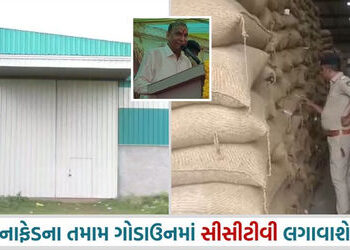 જેતપુર મગફળી ચોરી કેસ: કૃષિમંત્રી અને નાફેડના ચેરમેનના નિવેદનોમાં વિરોધાભાસ | Jetpur Groundnut Theft…