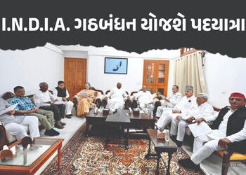 I.N.D.I.A. ગઠબંધનનું રાહુલ ગાંધીને સમર્થન, ‘વૉટ ચોરી’ વિરુદ્ધ સંસદથી EC ઓફિસ સુધી યોજશે વિશાળ પદયાત્…