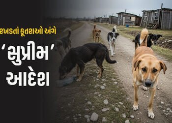 દિલ્હીના તમામ રખડતાં કૂતરાઓને પકડી શેલ્ટર હોમમાં રાખો: સુપ્રીમ કોર્ટનો કડક આદેશ | supreme court orde…