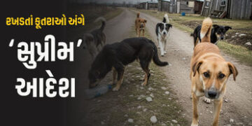 દિલ્હીના તમામ રખડતાં કૂતરાઓને પકડી શેલ્ટર હોમમાં રાખો: સુપ્રીમ કોર્ટનો કડક આદેશ | supreme court orde…