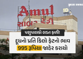 સાબર ડેરીનો પશુપાલકોના હિતમાં મોટો નિર્ણય, દૂધના પ્રતિ કિલો ફેટના ભાવમાં વધારો | milk price increase…
