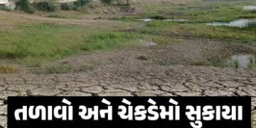 અમરેલીના લાઠી પંથકમાં વરસાદ ખેંચાતા ખેડૂતો ચિંતિત, જળસ્રોત ખાલીખમ | rains Shortage lakes and check d…
