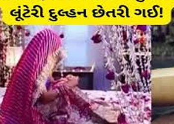 રાયડીના લગ્નોત્સુકને નાગપુરની ટોળકીએ છેતરી 2 લાખ પડાવ્યા | A wedding guest from Raidi was cheated of…