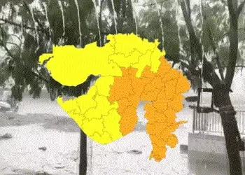 ગુજરાતમાં વરસાદી માહોલ, 19 જિલ્લામાં ભારે વરસાદનું ઓરેન્જ એલર્ટ, અમદાવાદમાં ધોધમાર | Gujarat weather…