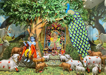 PHOTOS: જન્માષ્ટમીએ સાળંગપુરમાં કષ્ટભંજન દાદાનો ગોકુળની થીમ આધારિત શણગાર, કરો દર્શન | Janmashtami 20…