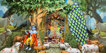 PHOTOS: જન્માષ્ટમીએ સાળંગપુરમાં કષ્ટભંજન દાદાનો ગોકુળની થીમ આધારિત શણગાર, કરો દર્શન | Janmashtami 20…