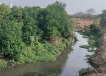 વડોદરામાં વિશ્વામિત્રી કાંઠે બાંધકામનો કાટમાળ ઠાલવતા લોકો સામે કાર્યવાહી કરી દંડ વસુલ કરાશે | Action…