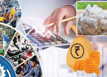 રો કોટનની આયાત પર 11 ટકા ડયૂટી નાબુદ કરાઈ | 11% duty on raw cotton imports abolished