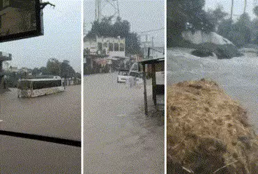 જૂનાગઢના મેંદરડામાં આભ ફાટ્યું: 4 કલાકમાં 10 ઇંચ વરસાદ, સ્કૂલોમાં રજા જાહેર | junagadh heavy rain me…