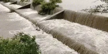 VIDEO: અમરેલી જિલ્લામાં ધોધમાર વરસાદ: ખેડૂતો ખુશ, પરંતુ કેટલાક વિસ્તારો સંપર્કવિહોણા | Heavy rains i…
