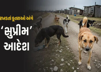 ‘શેલ્ટર હોમમાં ન રાખો, ખસીકરણ જ સાચો ઉપાય..’, રખડતાં કૂતરાઓ અંગે સુપ્રીમ કોર્ટનો મોટો ચુકાદો | supre…