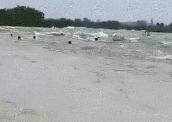 VIDEO: રાજસ્થાનના સવાઈ માધોપુરમાં મોટી દુર્ઘટના, નદીમાં બોટ પલટતા અનેક લોકો ડૂબ્યા | Major Accident …